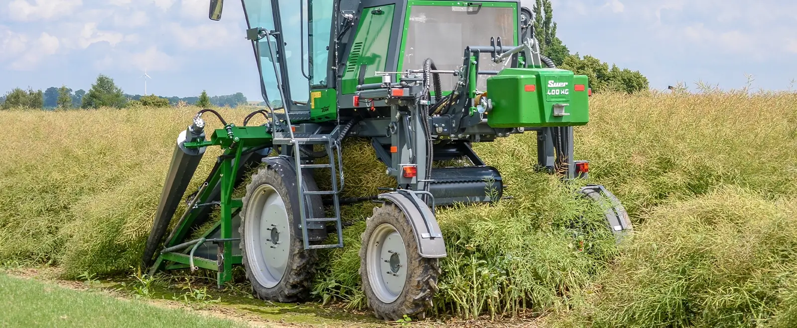 ZÜRN 550 scheitlet Raps auf dem Feld