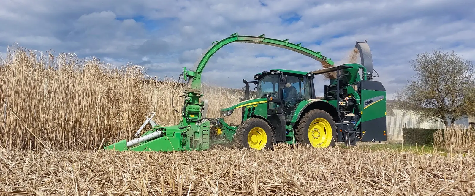 Zürn 700 Miscanthus Probenehmer auf dem Feld