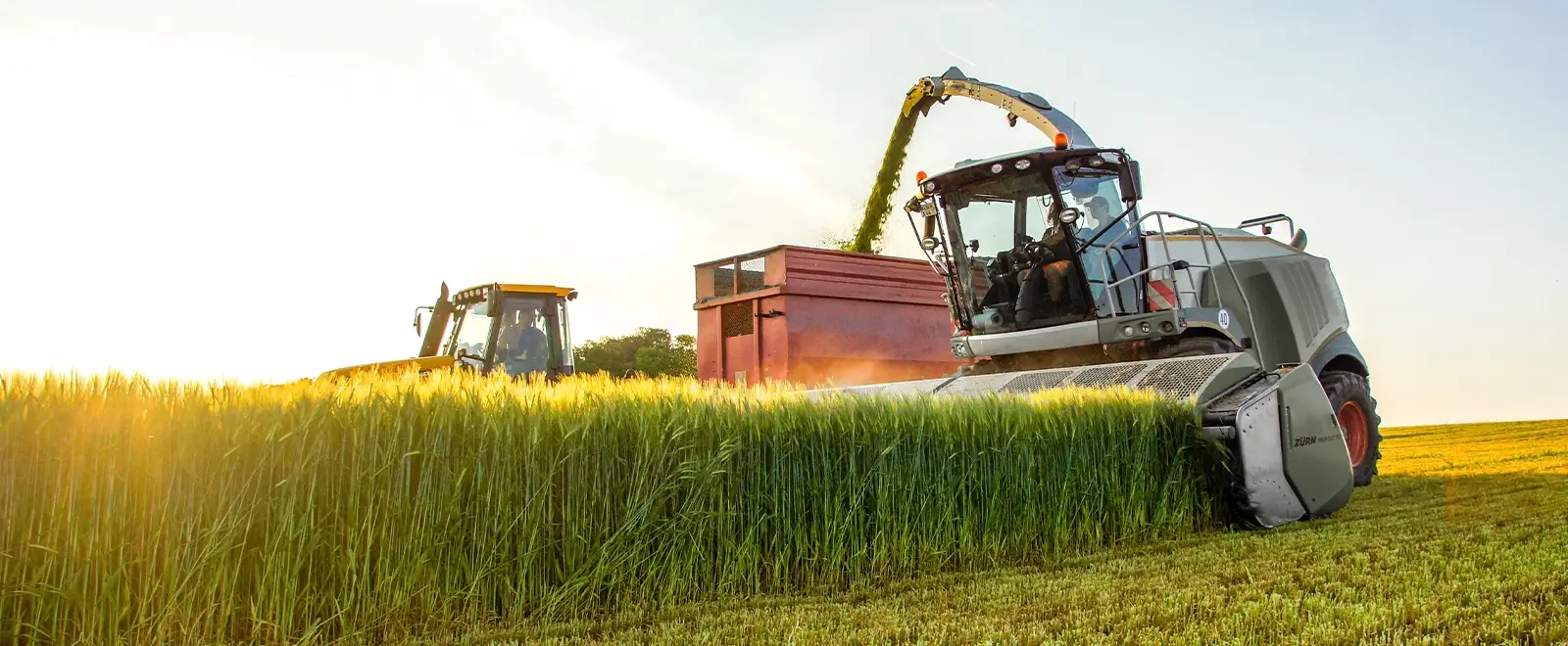 Profi Cut Direktschneidwerk in der Abendsonne