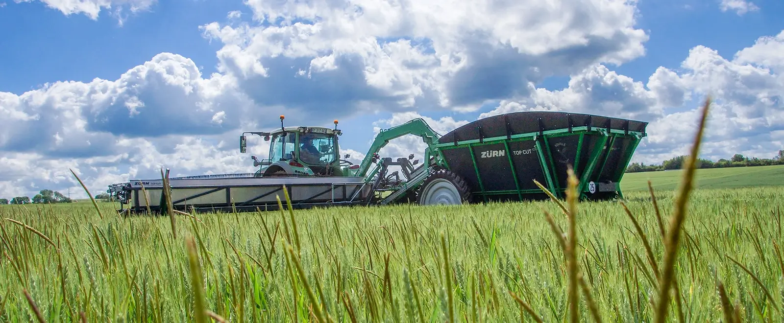 To Cut Collect Weizen Ackerfuchsschwanz und Unkrautsammler auf dem Feld