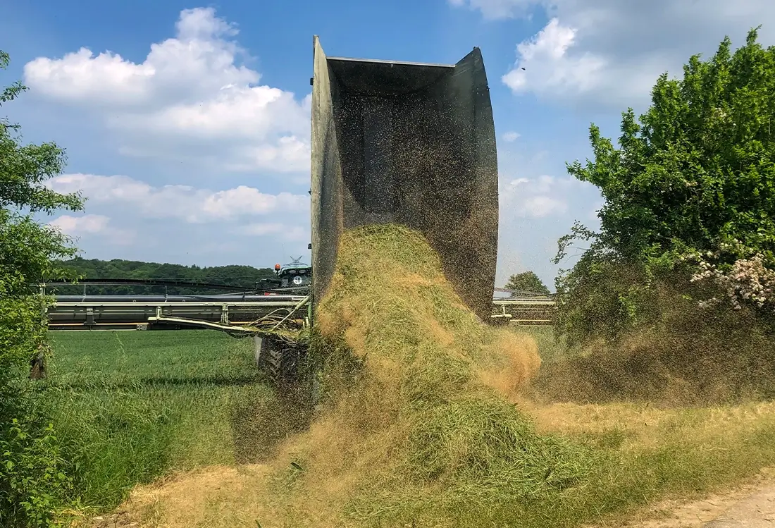 Top Cut Collect Bunker bei der Leerung von Gras