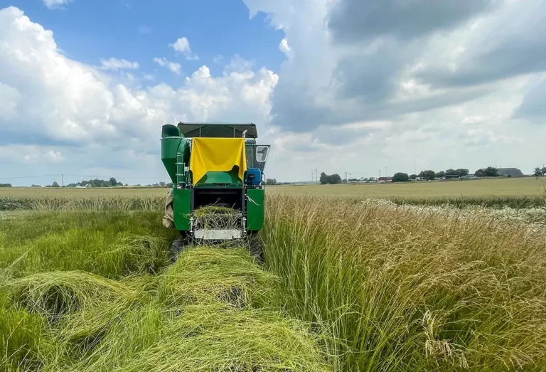 ZÜRN 110 Parzellenmähdrescher Grassamen Schüttler