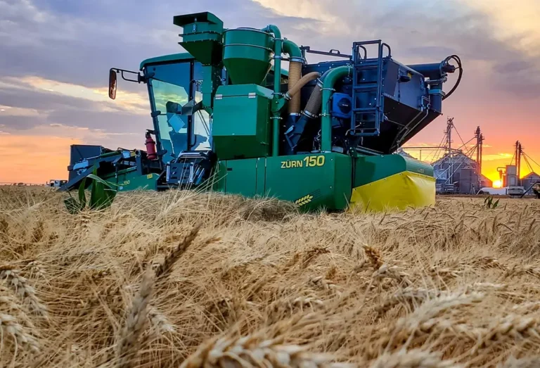 ZÜRN 150 in der Abenddämmerung auf dem Weizenfeld