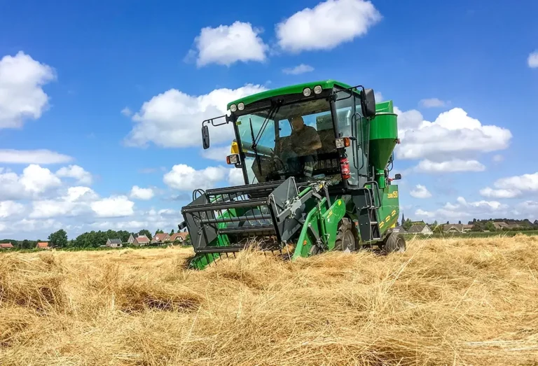 ZÜRN 150 Ernte Grassamen