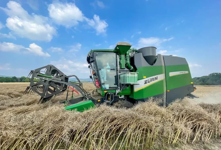 Zürn 160 Parzellen-Mähdrescher auf dem Rapsfeld bei der Ernte