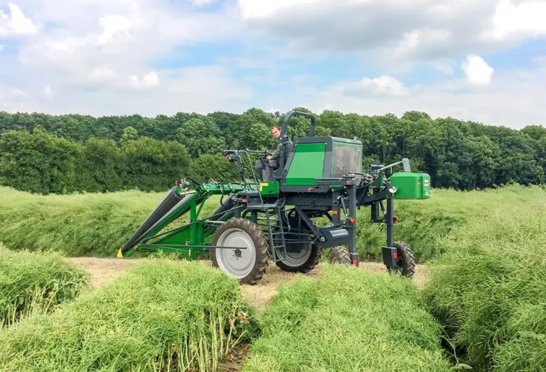 ZÜRN 540 Scheitler auf dem grünen Rapsfeld, Seitenansicht