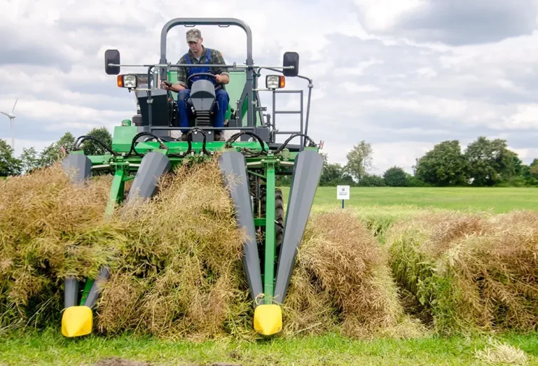 ZÜRN 540 Scheitler auf dem Rapsfeld, grüne Weise im Hintergrund