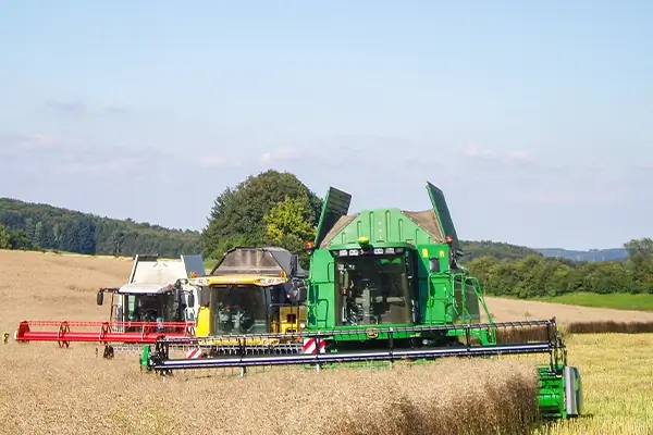 Rapstische sämtlicher Marken auf dem Rapsfeld bei der Ernte