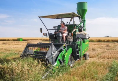 ZÜRN 130 Parzellenmähdrescher auf Weizenfeld