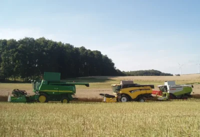 Raps Profi bunte Flotte auf dem Feld