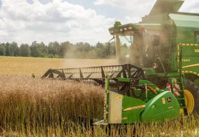 Raps Profi Deere bei der Ernte auf dem Feld