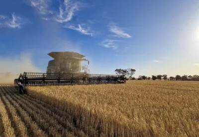 premiumflow-740pf-ideal-harvest-wheat-australia-panorama